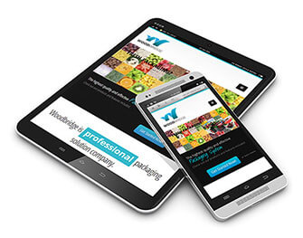 website design responsive layout logo packaging